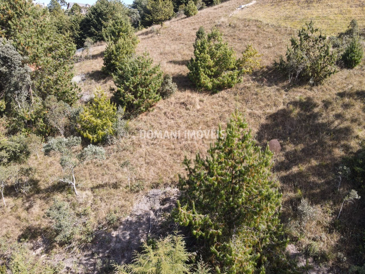 Plot of 1,110 m² in Campos do Jordão, SP, Brazil
