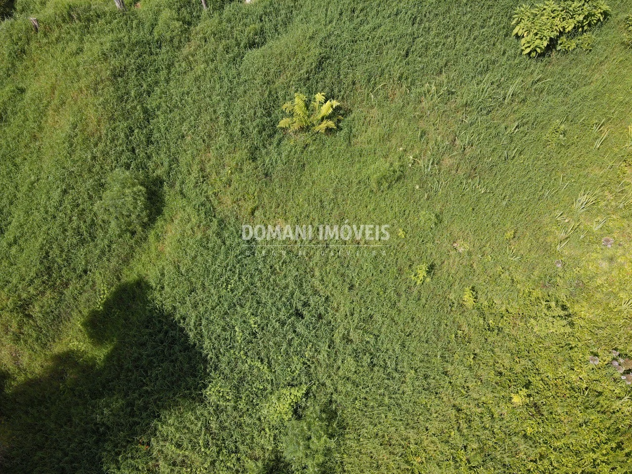 Plot of 1,350 m² in Campos do Jordão, SP, Brazil