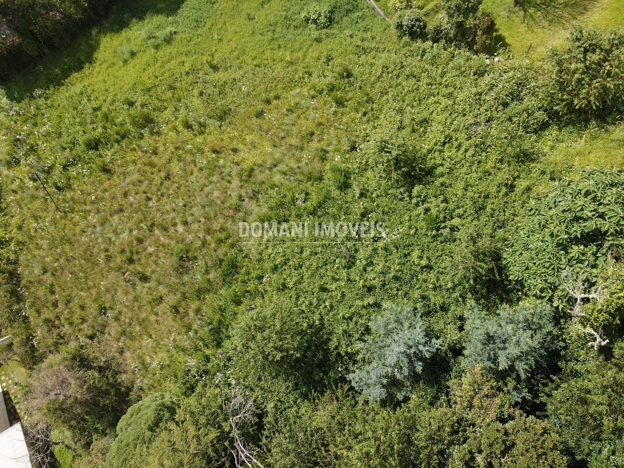 Plot of 1,350 m² in Campos do Jordão, SP, Brazil