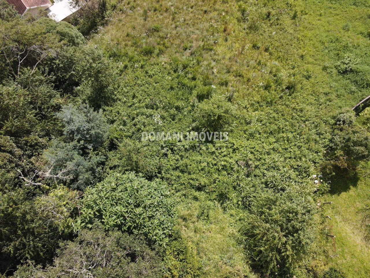 Plot of 1,350 m² in Campos do Jordão, SP, Brazil
