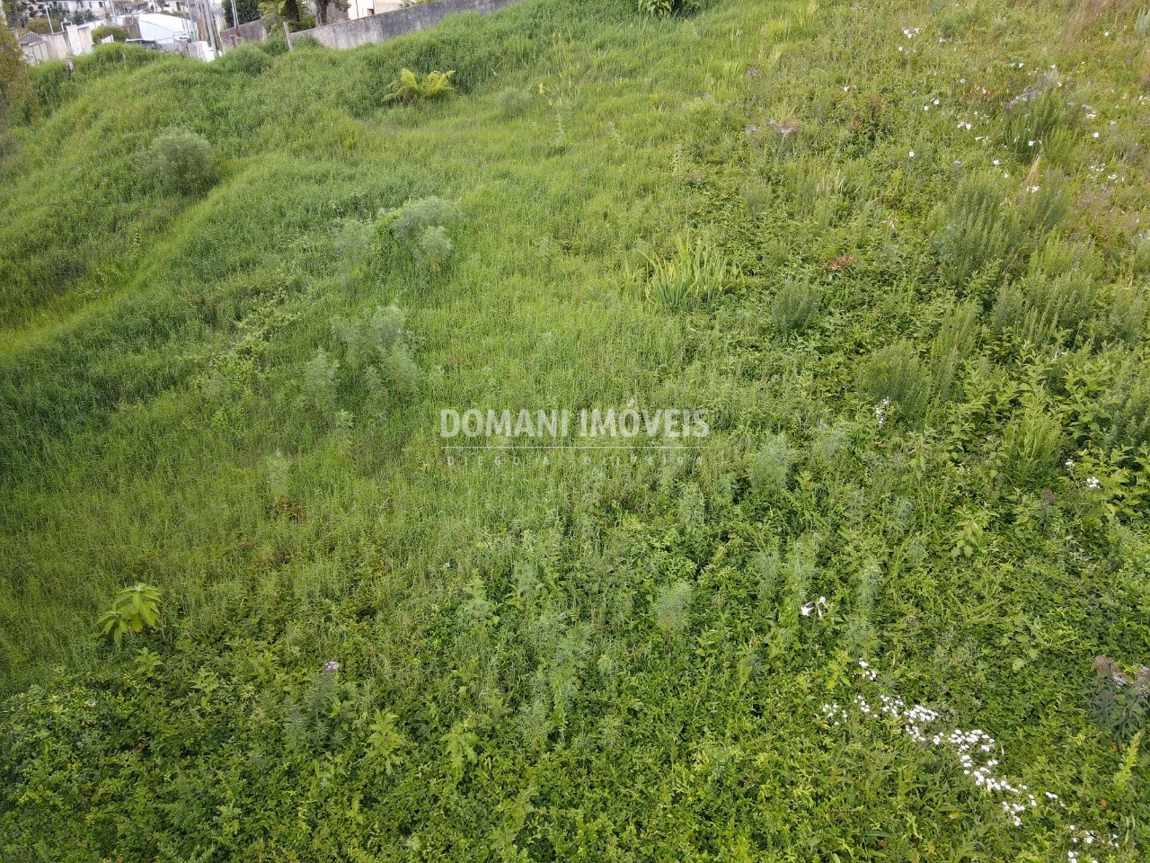 Terreno de 1,350 m² em Campos do Jordão, SP