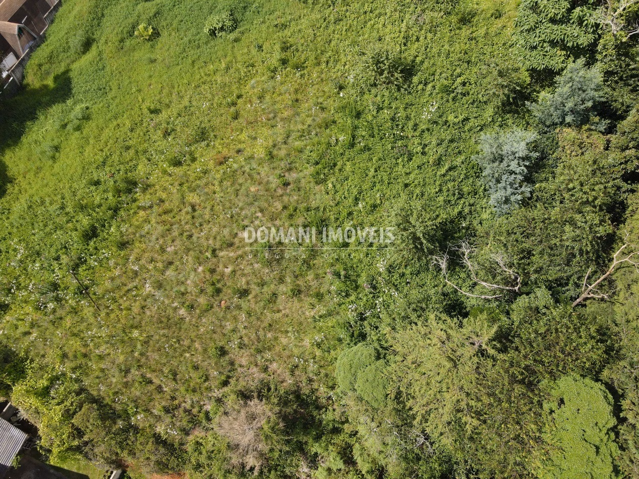 Terreno de 1,350 m² em Campos do Jordão, SP