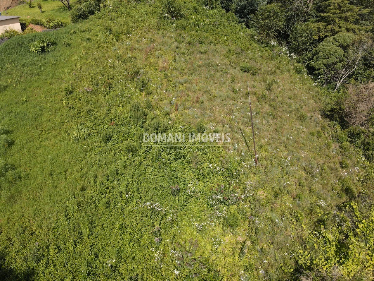 Plot of 1,350 m² in Campos do Jordão, SP, Brazil