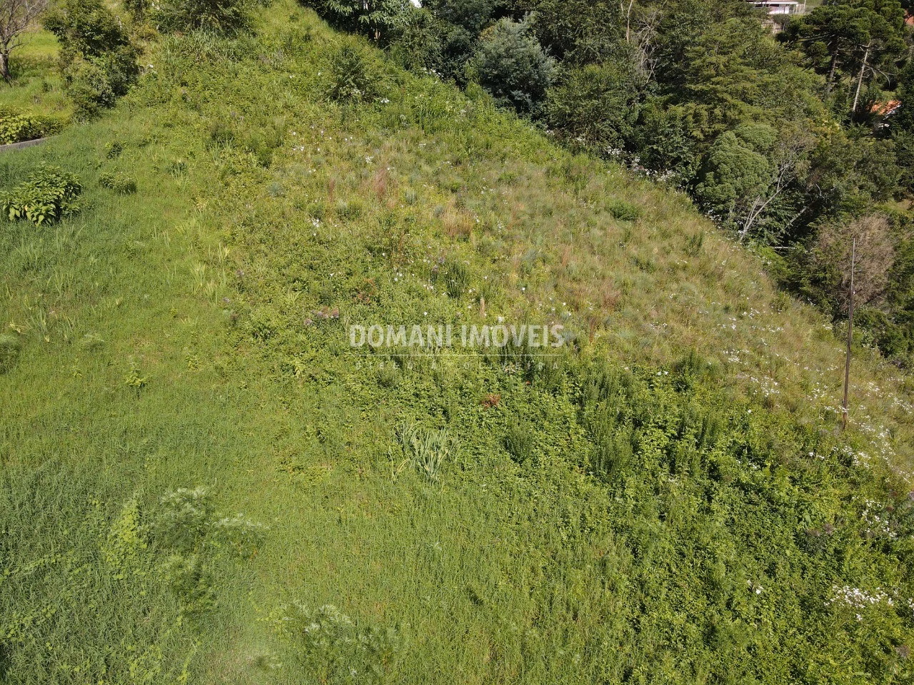 Plot of 1,350 m² in Campos do Jordão, SP, Brazil