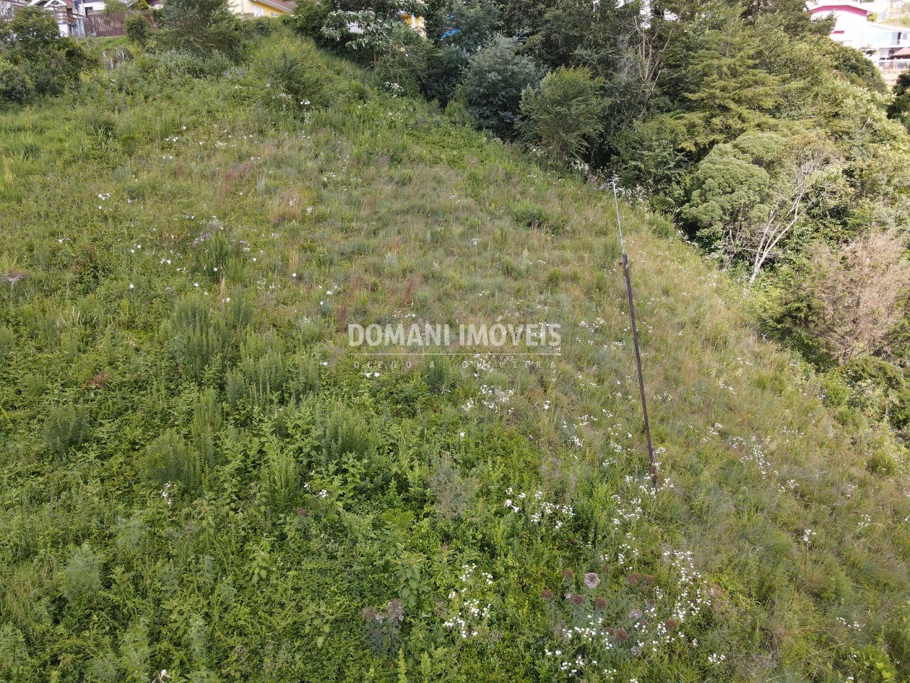 Plot of 1,350 m² in Campos do Jordão, SP, Brazil