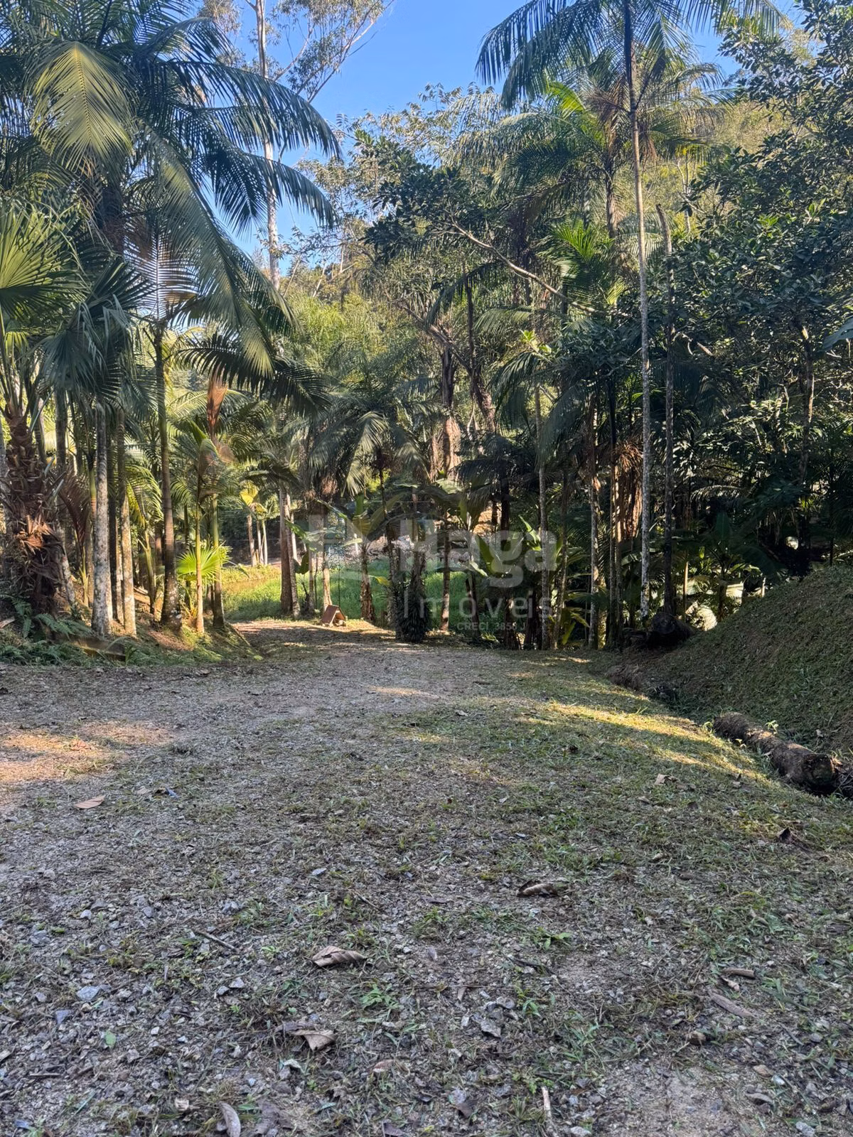 Casa de 80 m² em Brusque, SC