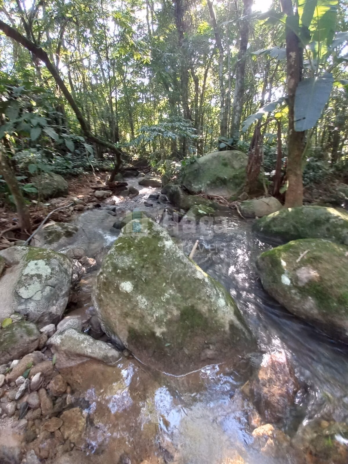 Chácara de 5.000 m² em Canelinha, SC
