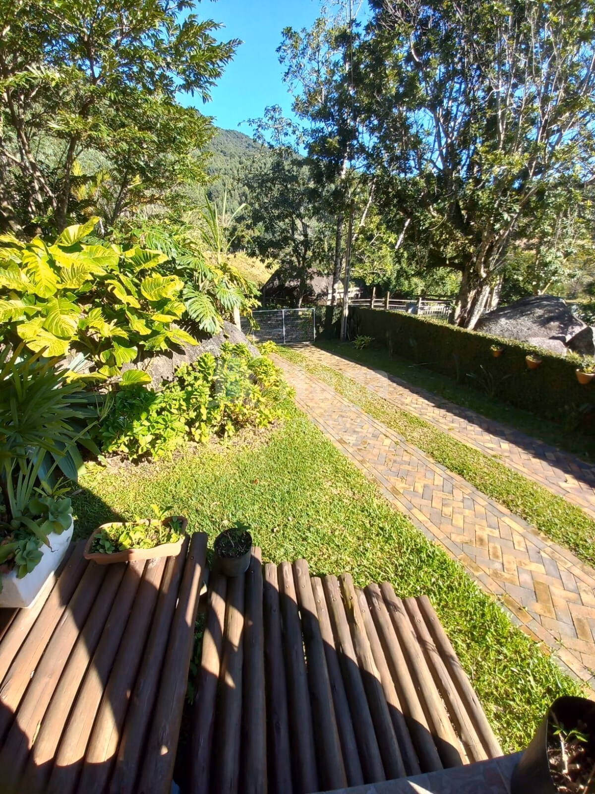 Chácara de 5.000 m² em Canelinha, SC