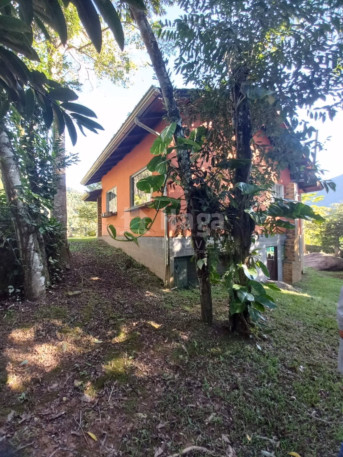 Chácara de 5.000 m² em Canelinha, SC