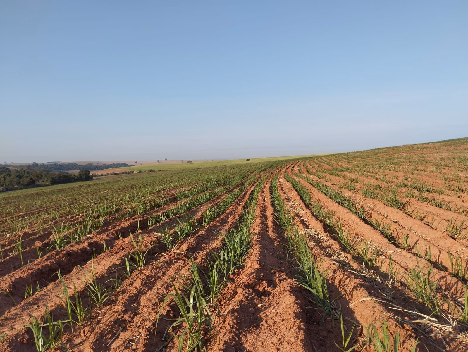 Fazenda de 283 ha em Getulina, SP