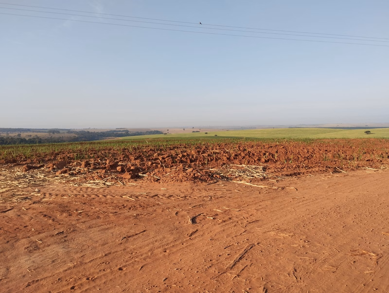 Fazenda de 283 ha em Getulina, SP