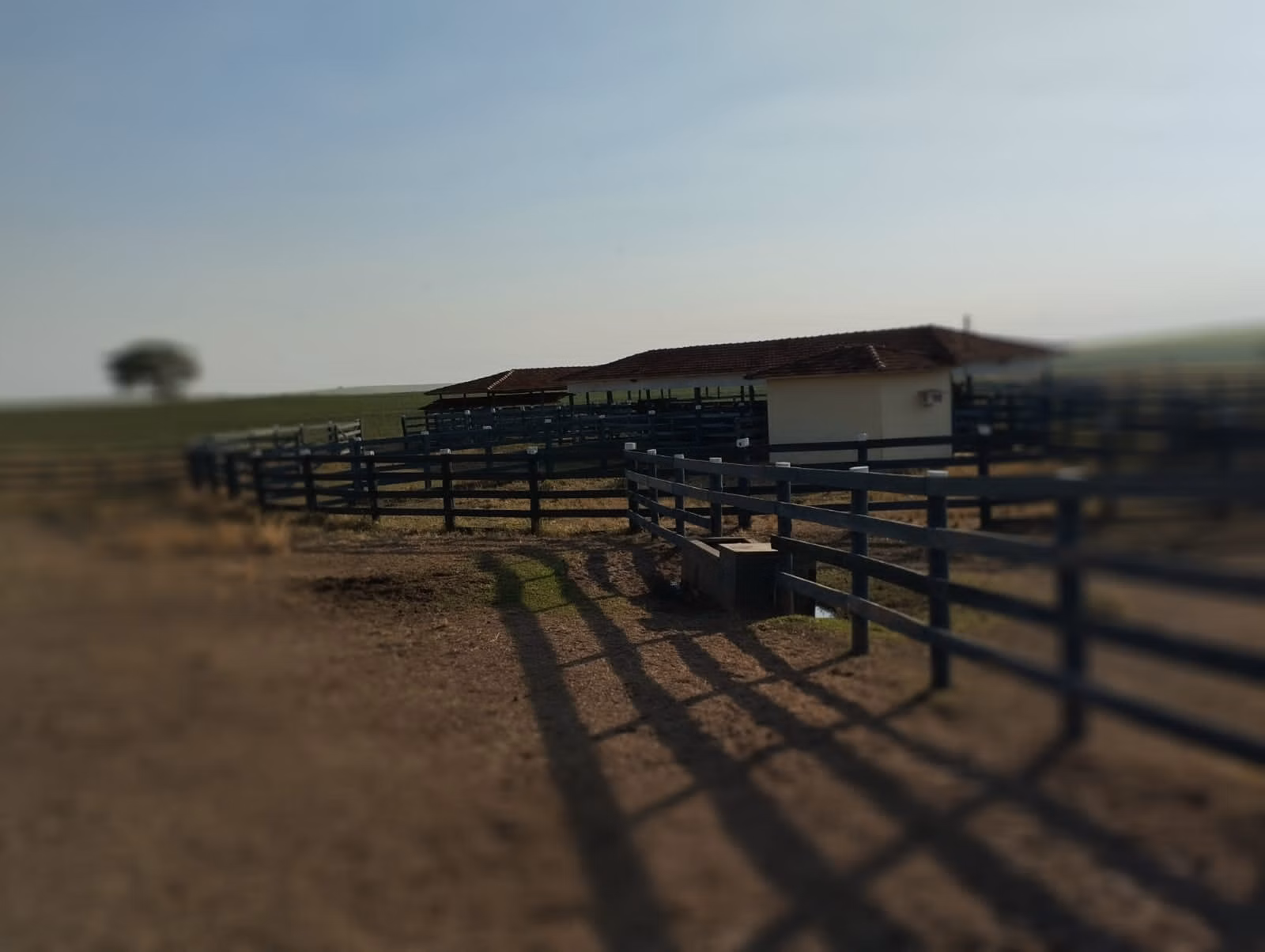 Fazenda de 283 ha em Getulina, SP