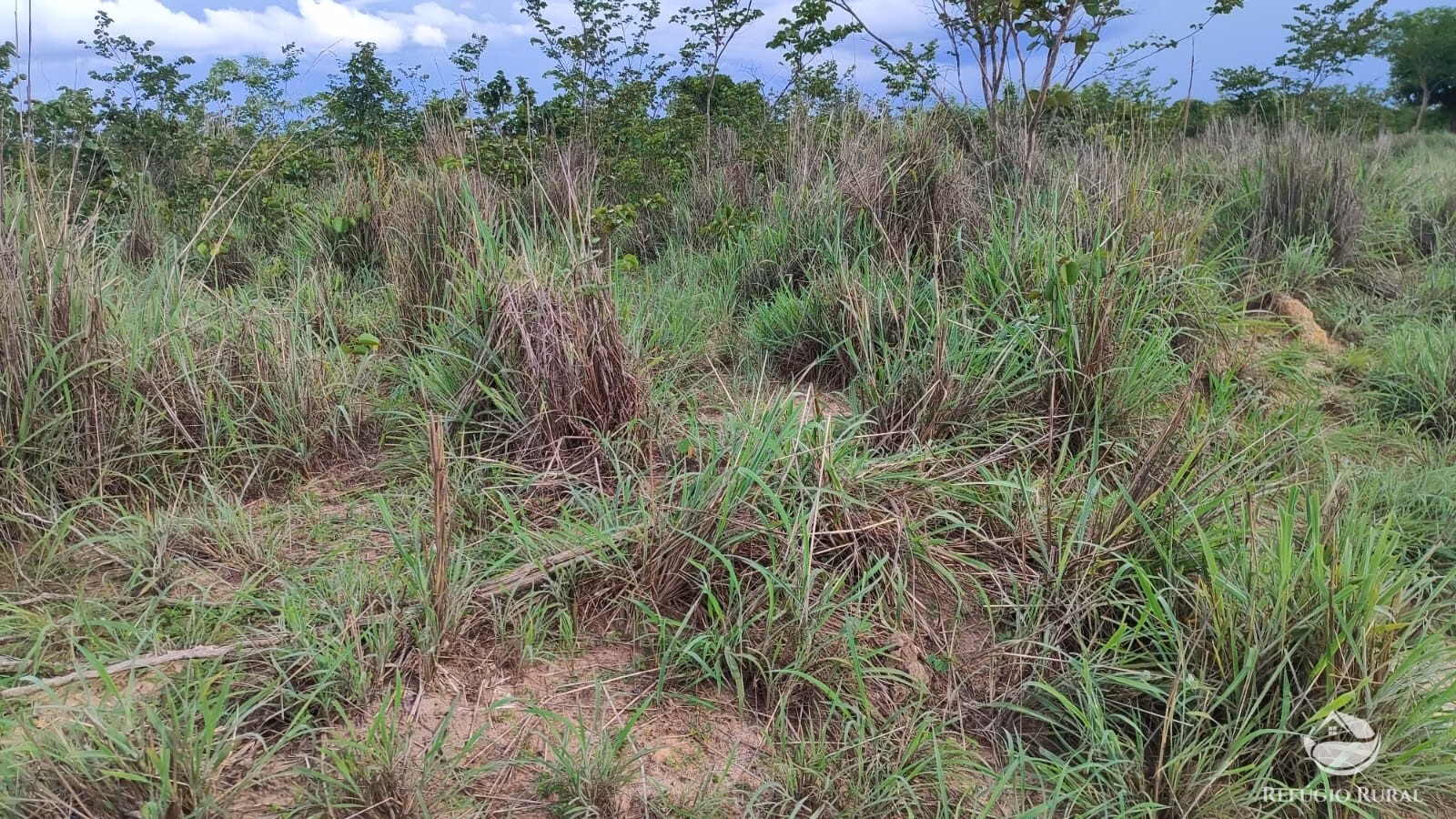 Farm of 1.196 acres in Alvorada, TO, Brazil