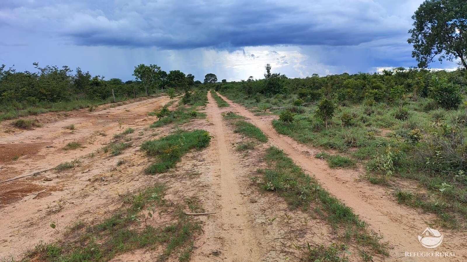 Fazenda de 484 ha em Alvorada, TO