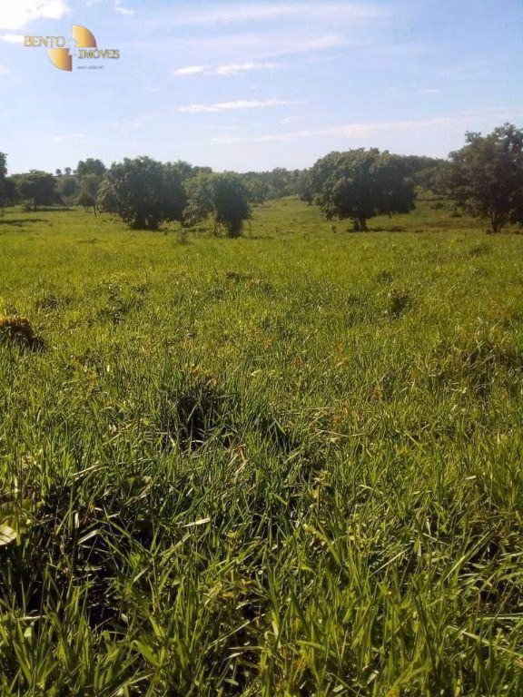 Fazenda de 1.541 ha em Acorizal, MT