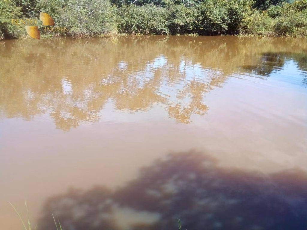 Fazenda de 1.541 ha em Acorizal, MT