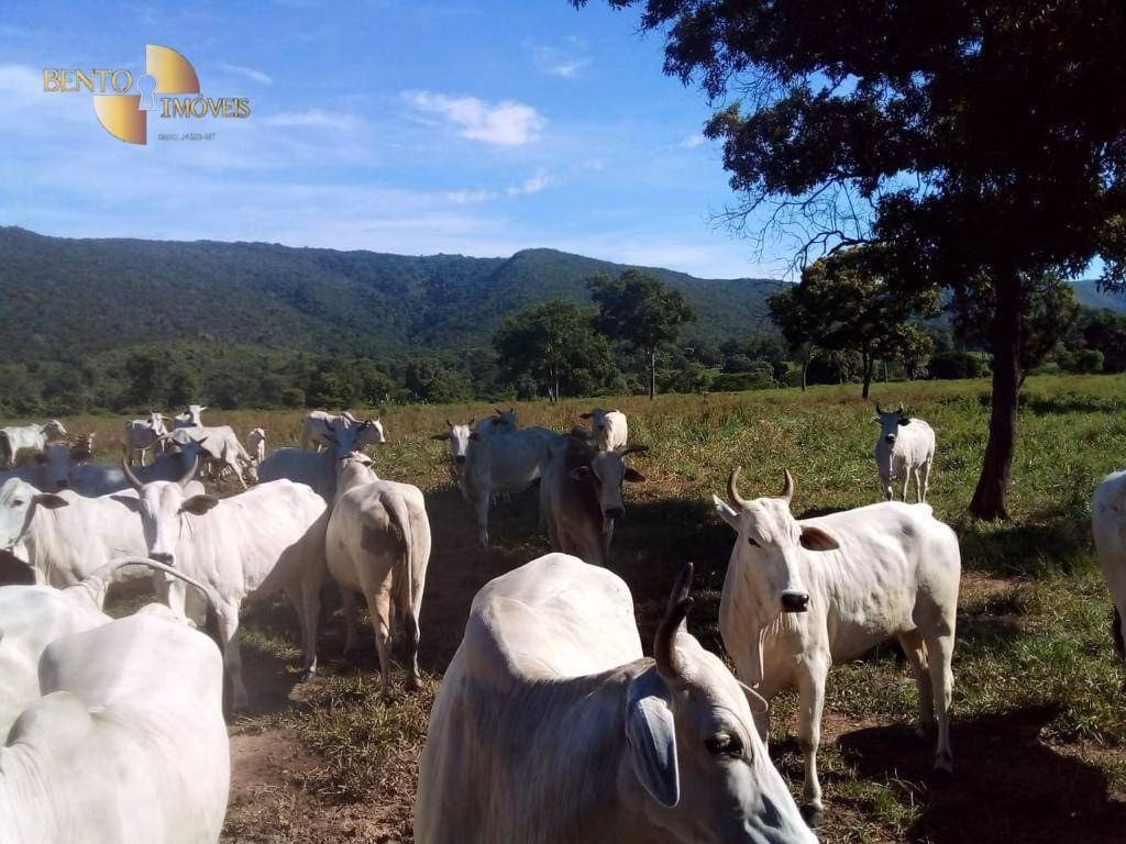 Fazenda de 1.541 ha em Acorizal, MT
