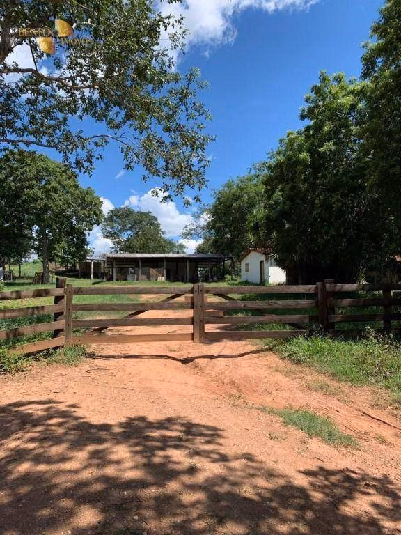 Fazenda de 1.541 ha em Acorizal, MT