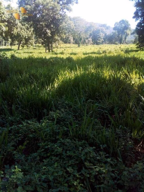Fazenda de 1.541 ha em Acorizal, MT
