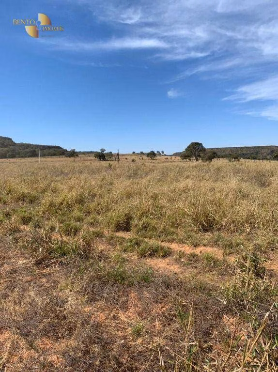 Fazenda de 906 ha em Tesouro, MT