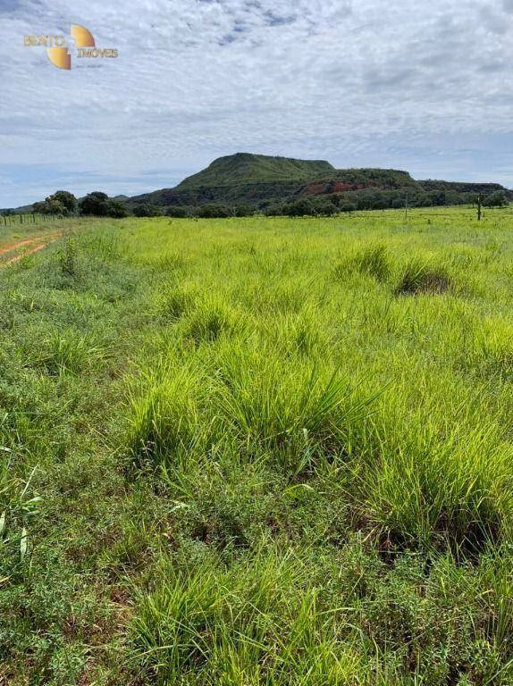 Fazenda de 906 ha em Tesouro, MT