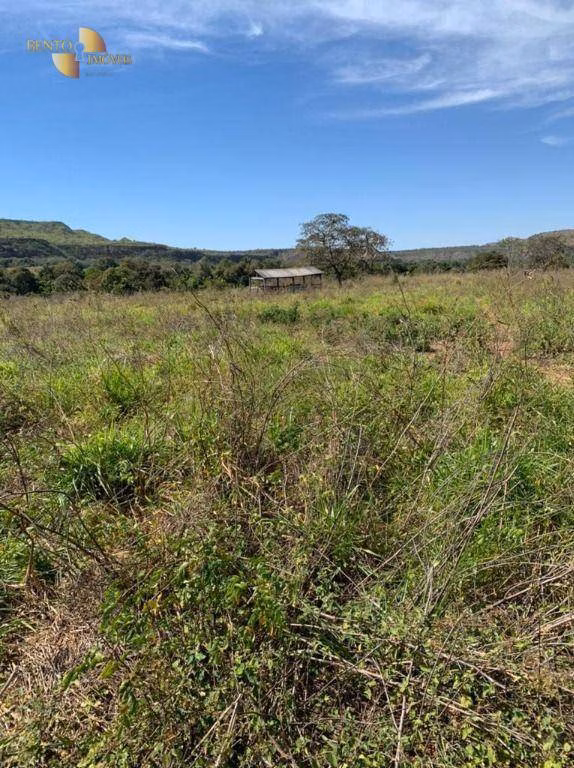 Fazenda de 906 ha em Tesouro, MT