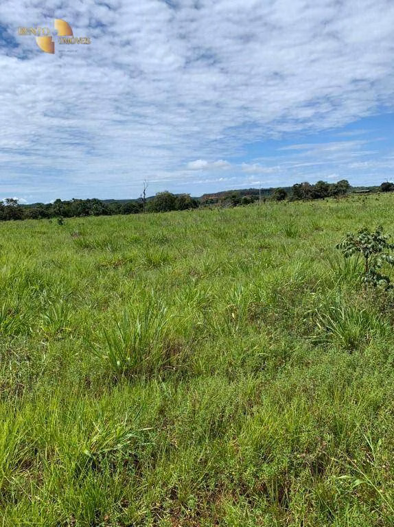 Fazenda de 906 ha em Tesouro, MT