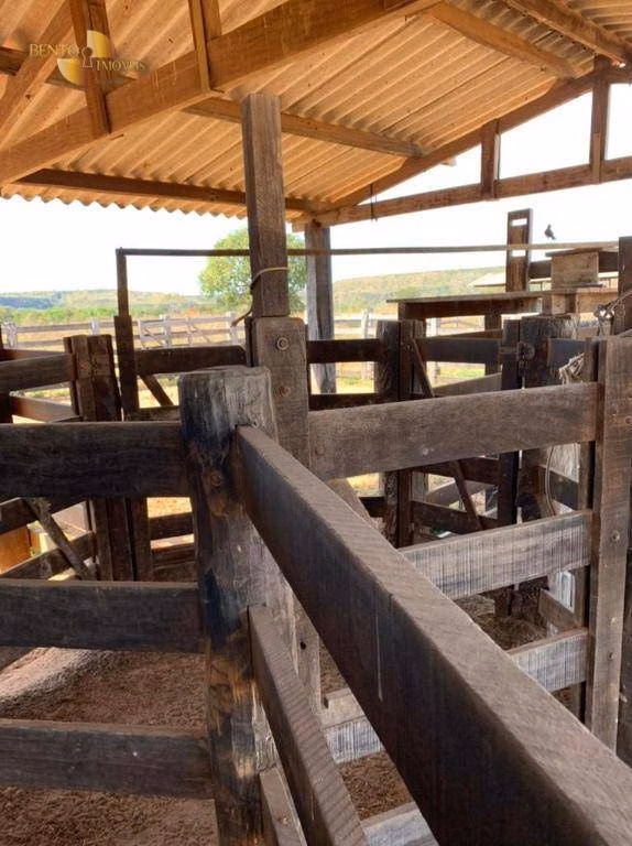 Fazenda de 906 ha em Tesouro, MT