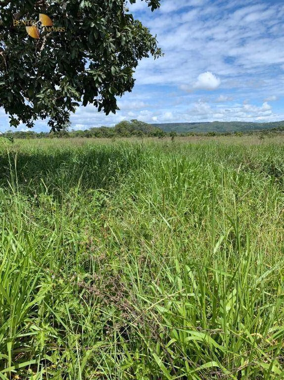Fazenda de 906 ha em Tesouro, MT