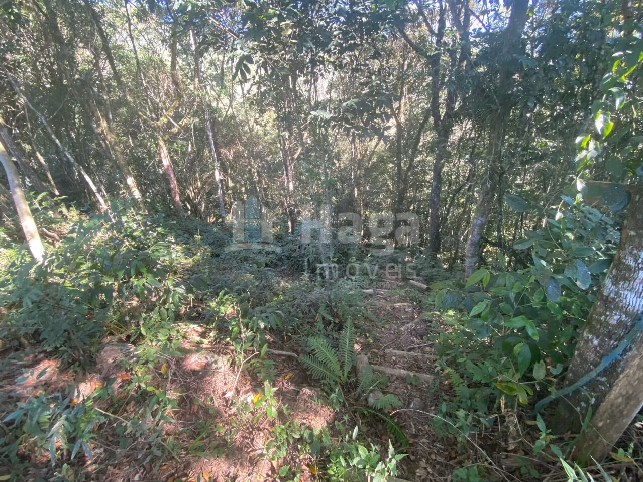 Farm of 3 acres in Canelinha, SC, Brazil