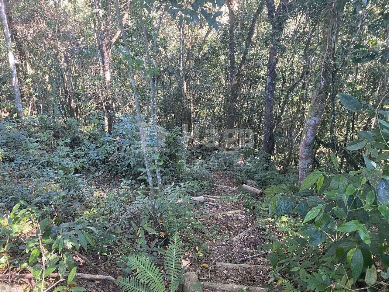 Farm of 3 acres in Canelinha, SC, Brazil