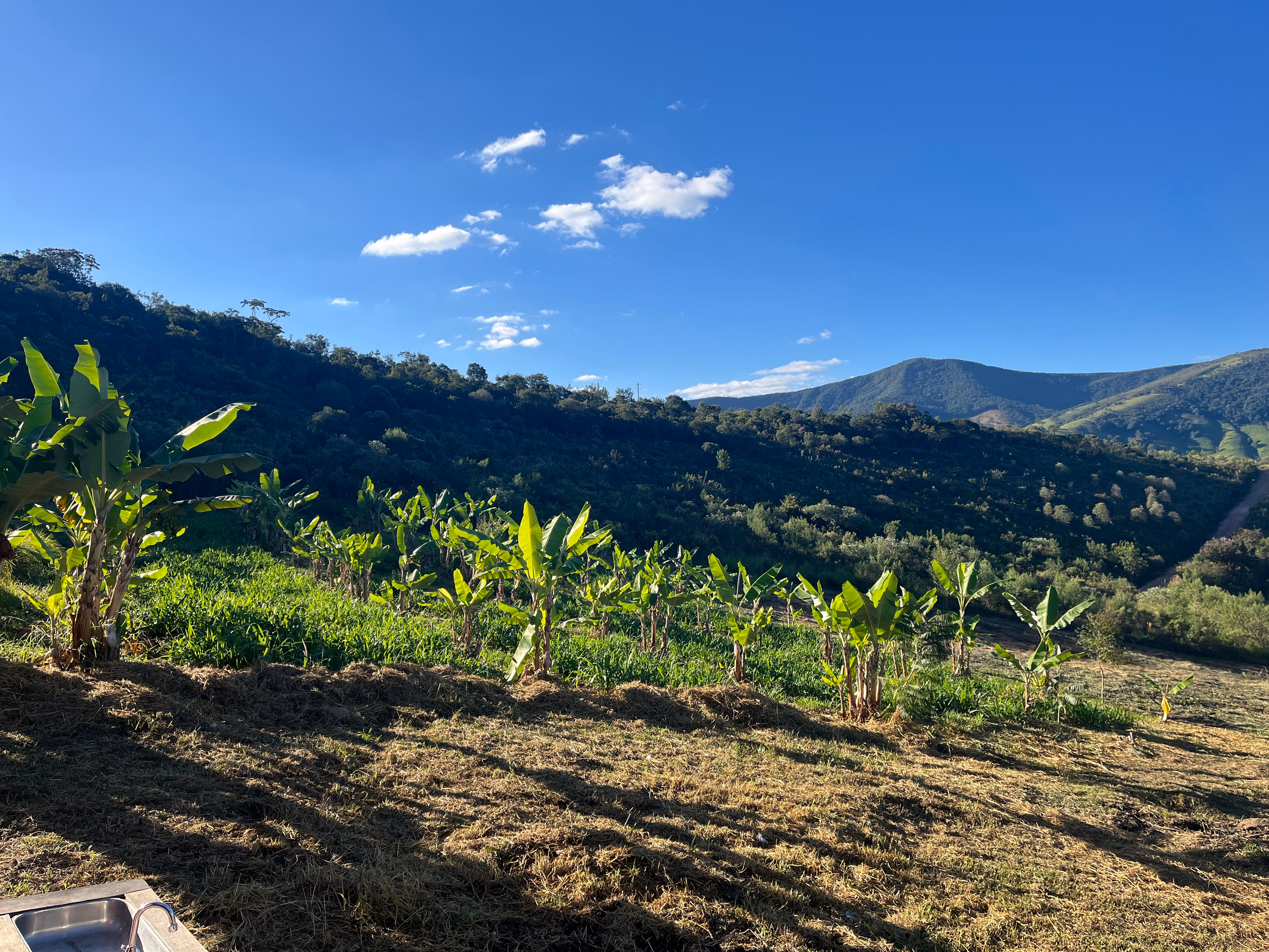 Small farm of 15 acres in Baependi, MG, Brazil