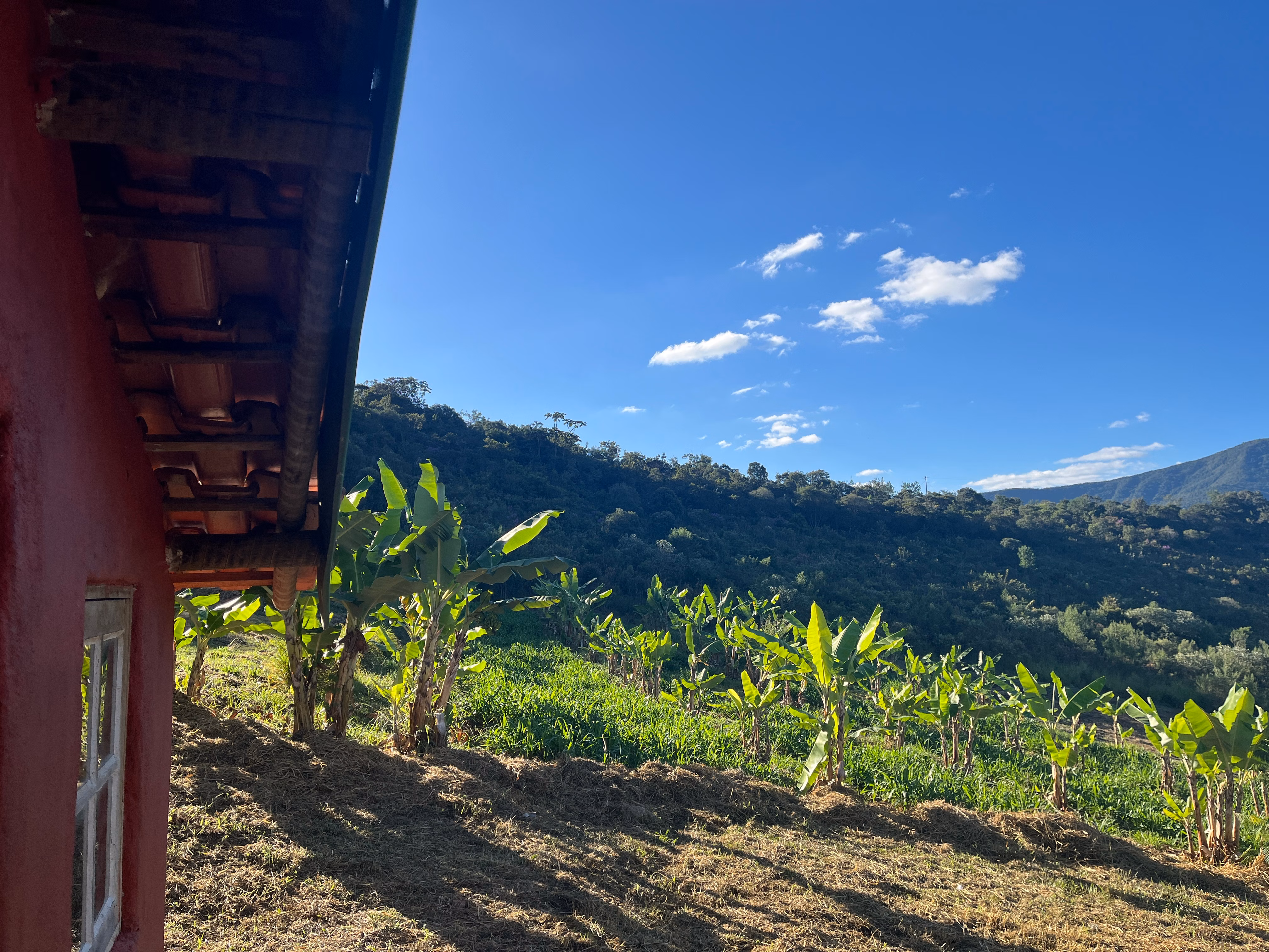 Small farm of 15 acres in Baependi, MG, Brazil