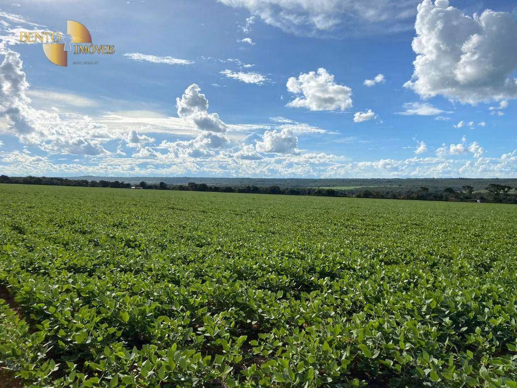 Fazenda de 650 ha em Nobres, MT