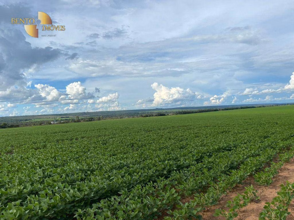 Fazenda de 650 ha em Nobres, MT