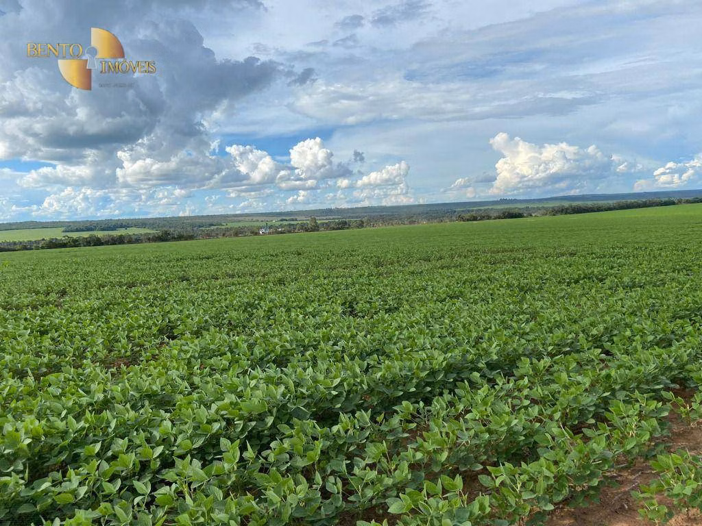 Fazenda de 650 ha em Nobres, MT