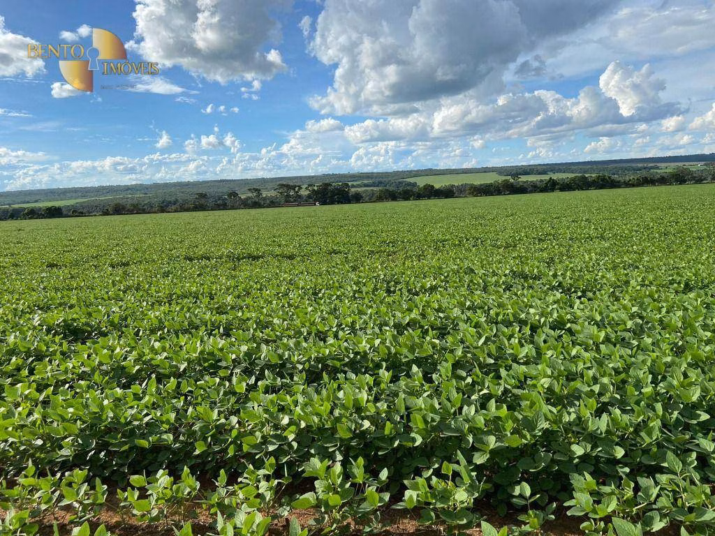 Fazenda de 650 ha em Nobres, MT