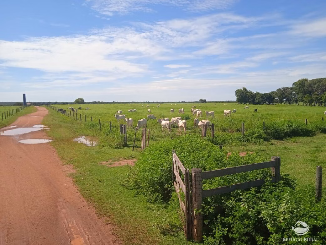Fazenda de 2.937 ha em Formoso do Araguaia, TO
