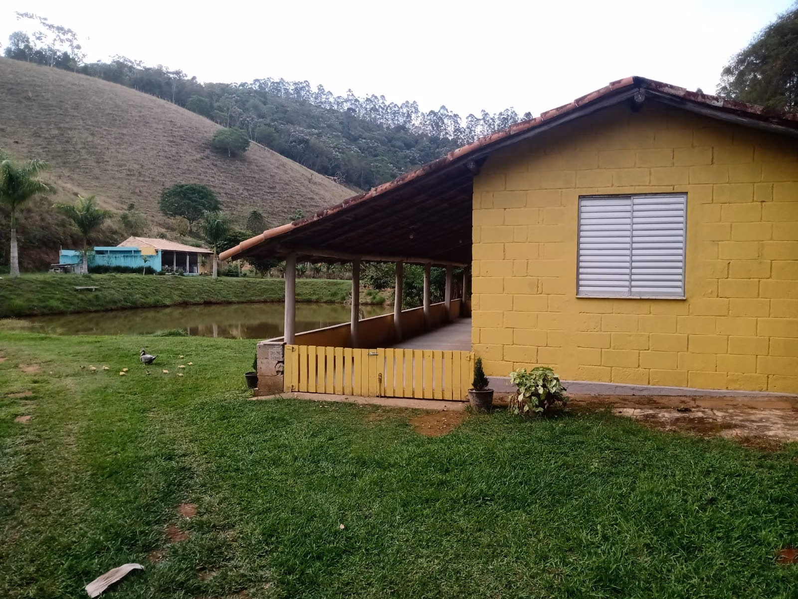 Sítio de 29 ha em Paraibuna, SP