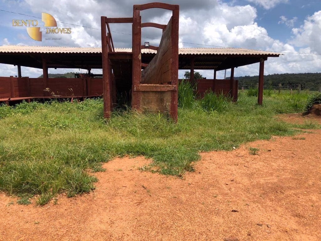 Fazenda de 4.095 ha em Araguaína, TO