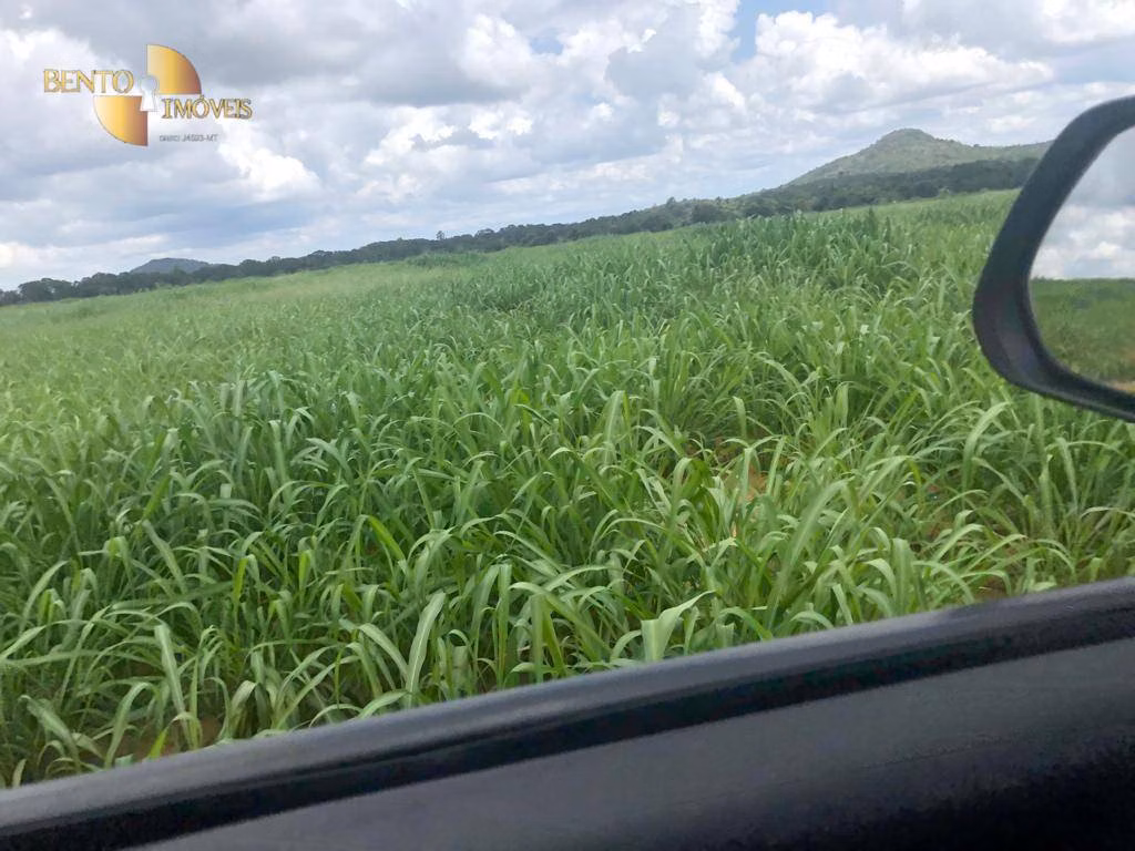 Fazenda de 4.095 ha em Araguaína, TO