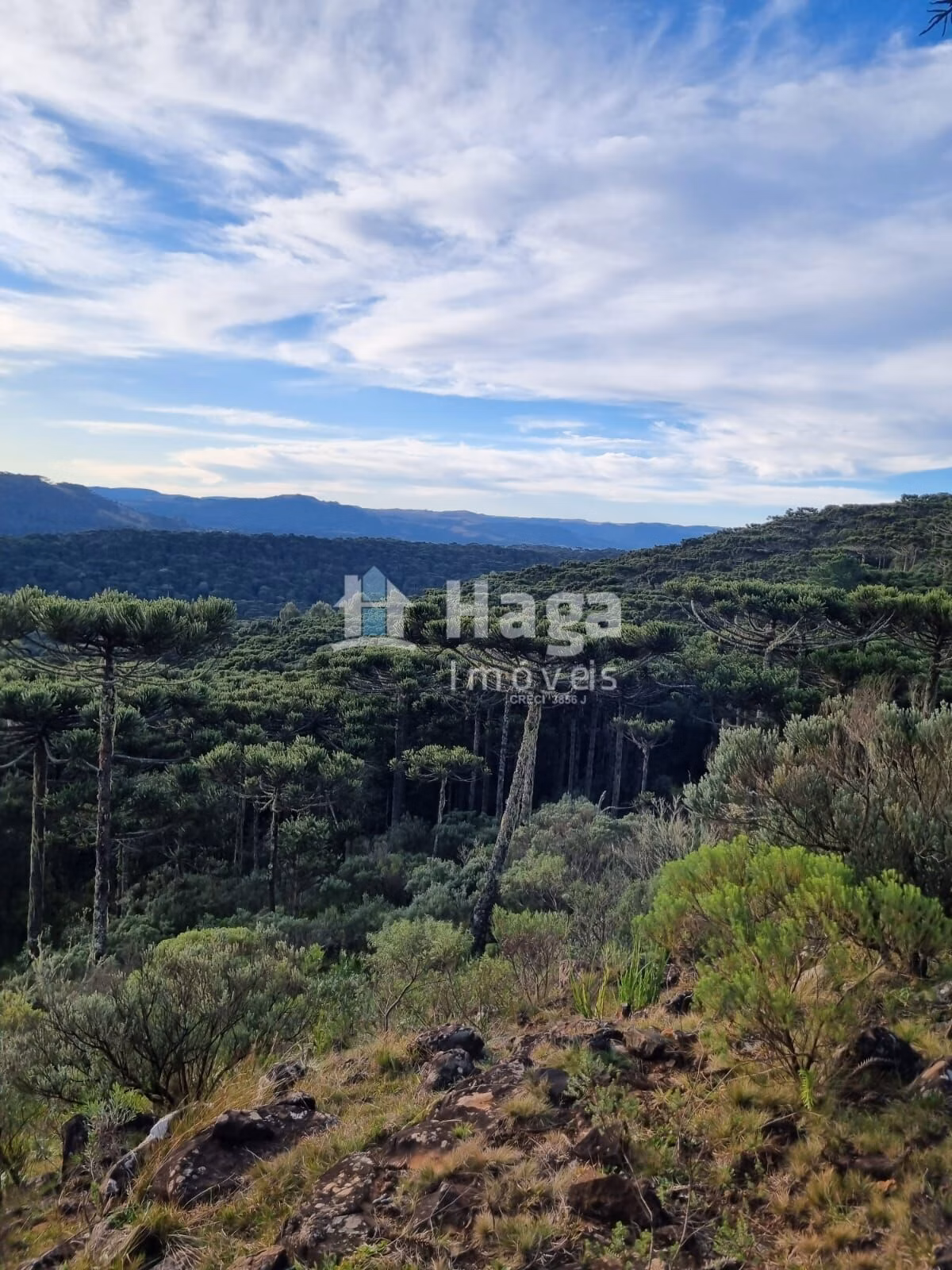 Chácara de 5 ha em Bom Jardim da Serra, SC
