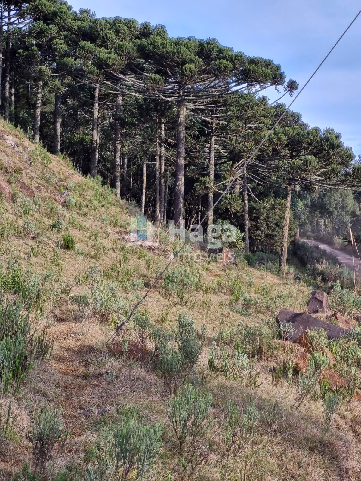 Chácara de 5 ha em Bom Jardim da Serra, SC
