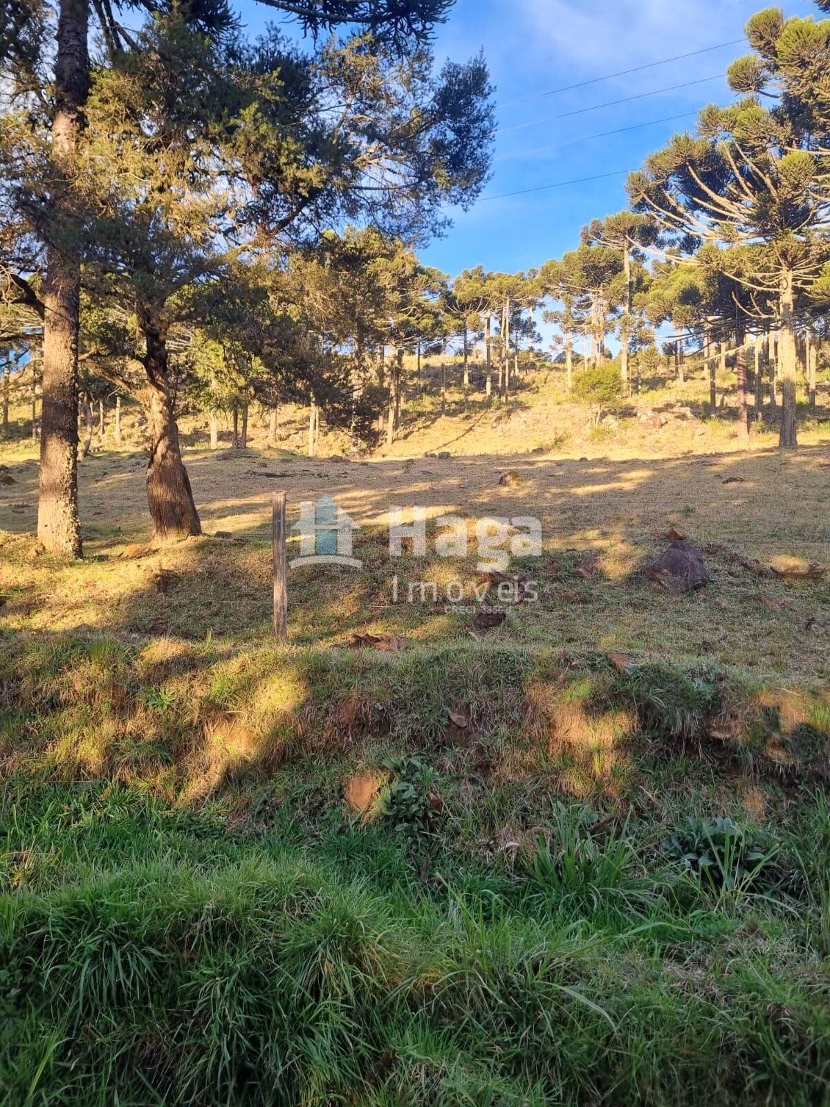 Chácara de 5 ha em Bom Jardim da Serra, SC