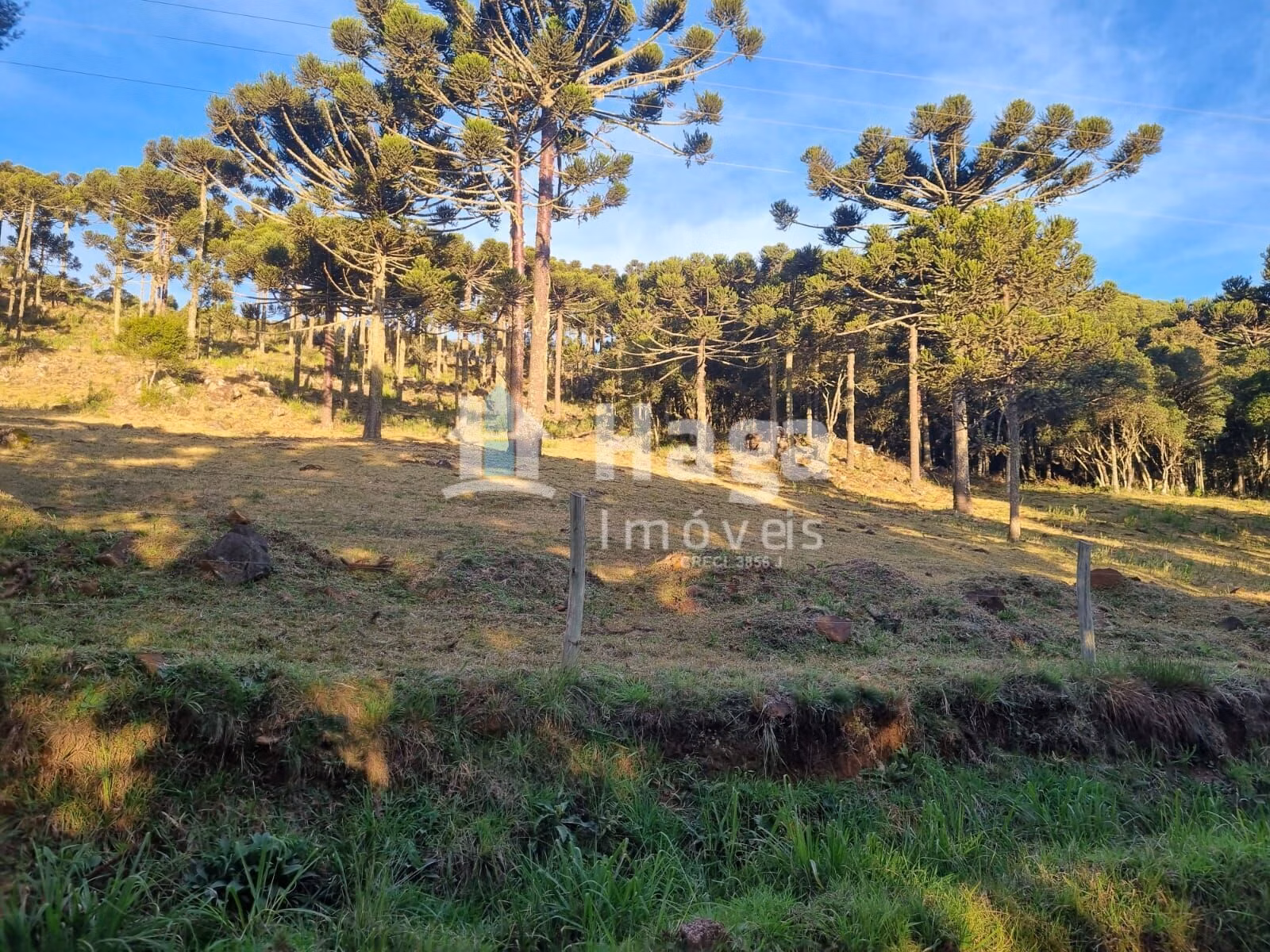 Chácara de 5 ha em Bom Jardim da Serra, SC