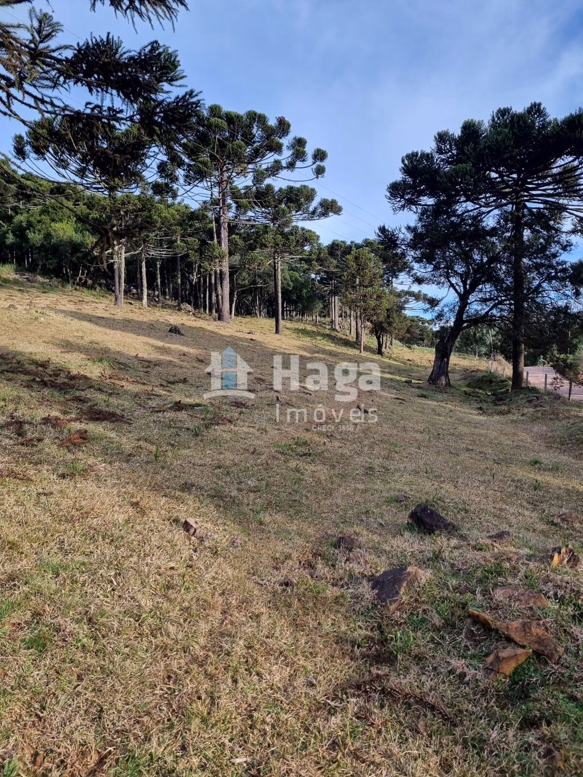 Chácara de 5 ha em Bom Jardim da Serra, SC