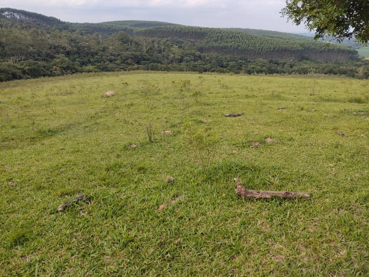 Sítio de 44 ha em São Miguel Arcanjo, SP