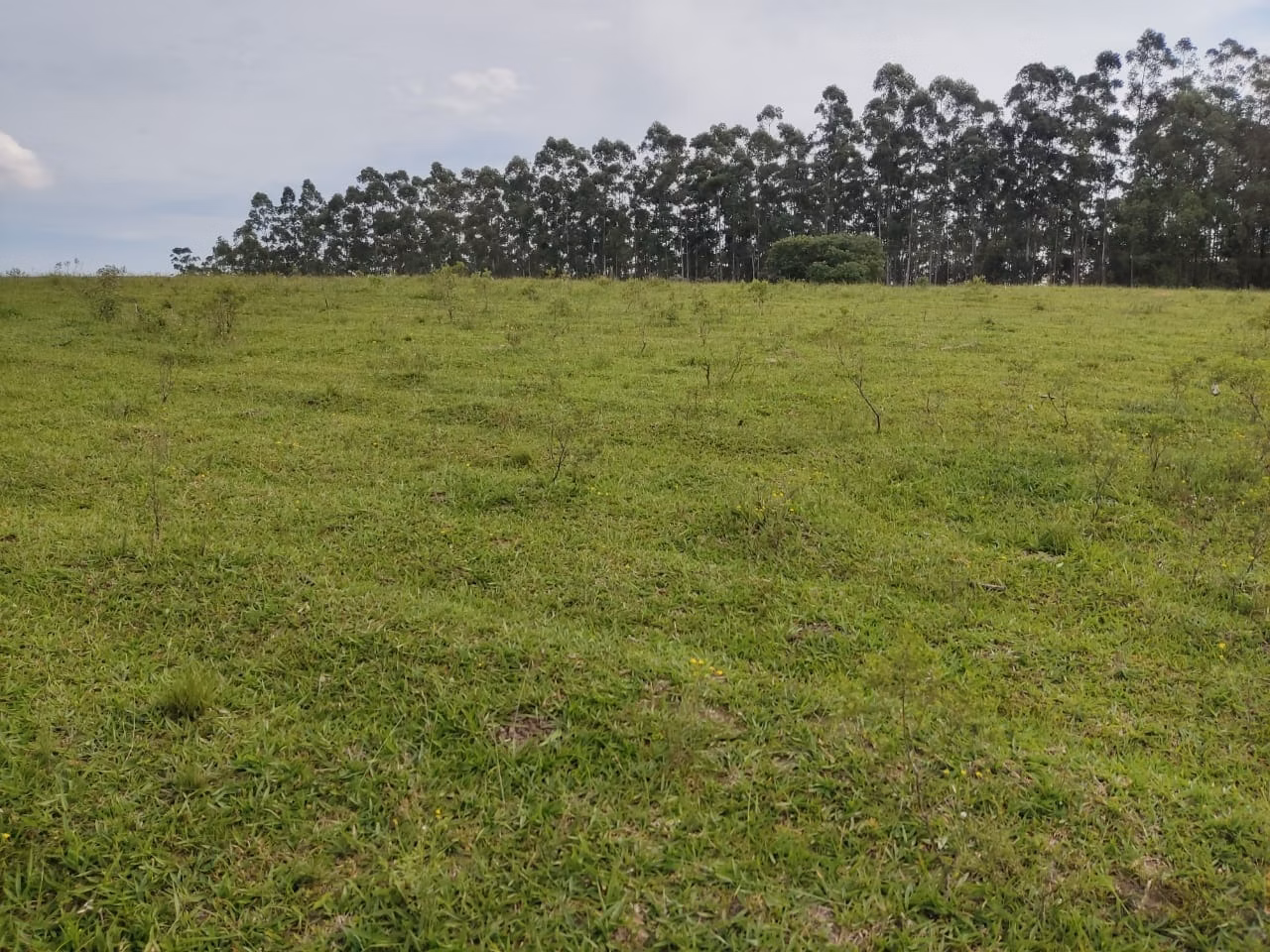 Sítio de 44 ha em São Miguel Arcanjo, SP