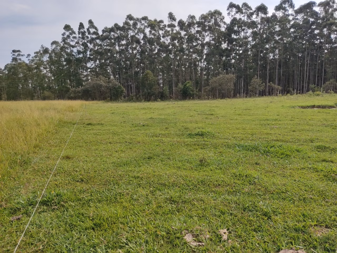 Small farm of 108 acres in São Miguel Arcanjo, SP, Brazil
