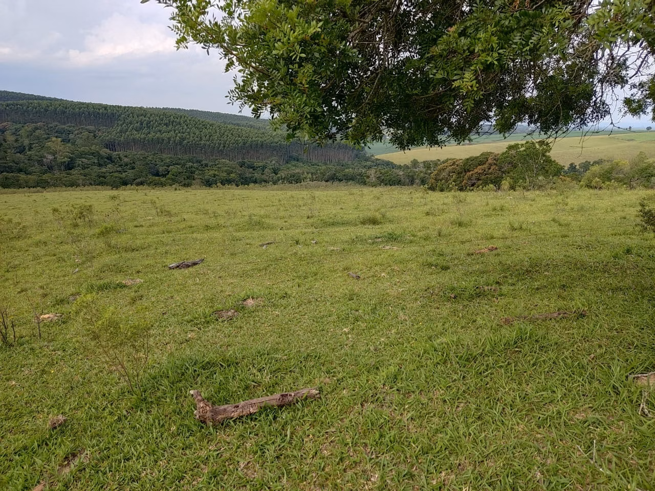 Small farm of 108 acres in São Miguel Arcanjo, SP, Brazil